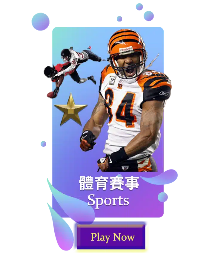 IM体育 SPORTS